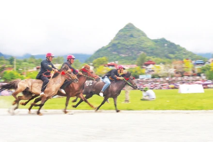 Phi nước rút tại vòng loại cuộc đua ngựa Bắc Hà 2025.