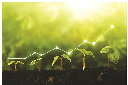 Chuyển đổi xanh là yêu cầu bắt buộc đối với các doanh nghiệp.