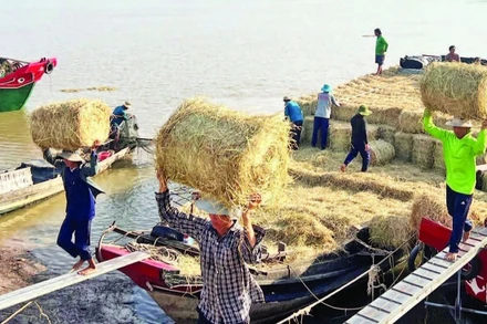 Chợ rơm tạo việc làm cho hàng chục lao động địa phương.