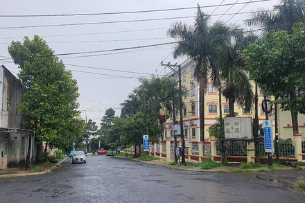 Tỉnh Gia Lai có 24 dự án cây xanh được Bộ Công an yêu cầu cung cấp số liệu.