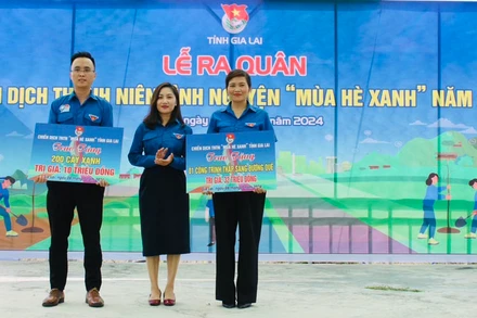 Trao tặng một căn nhà 60 triệu đồng, 1 công trình Thắp sáng đường quê và 200 cây xanh là một trong nhiều nội dung của chiến dịch " Mùa hè xanh" của Tỉnh đoàn Gia Lai đề ra.