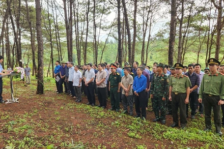 Hơn 300 cán bộ các cơ quan thành phố Pleiku hưởng ứng phong trào tết trồng cây năm 2024.