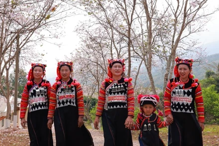 Phụ nữ và trẻ em dân tộc Hà Nhì trong trang phục truyền thống.