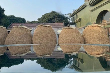 Một góc không gian mộc mạc, bình yên của Hợp tác xã Sinh Dược.