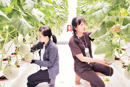 Nông dân tỉnh Bến Tre đẩy mạnh ứng dụng khoa học kỹ thuật để tăng năng suất, lợi nhuận.