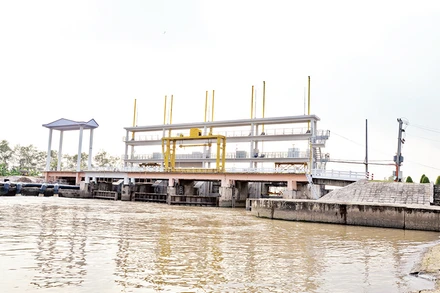 Cống Xuân Hòa, xã Xuân Đông, huyện Chợ Gạo (Tiền Giang) vận hành lấy nước ngọt cho vùng ngọt hóa Gò Công. 
