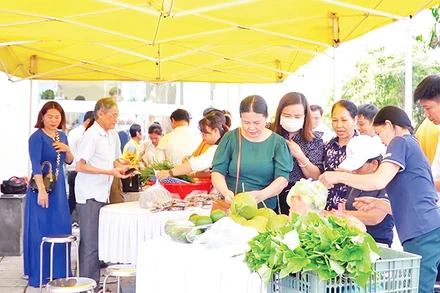 Nhiều nông sản Quảng Trị được người tiêu dùng biết đến nhờ sàn thương mại điện tử. 