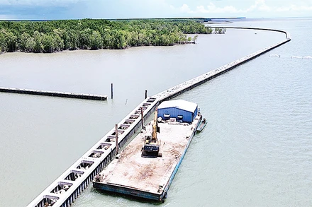 Một công trình kè bảo vệ bờ biển tại Cà Mau.