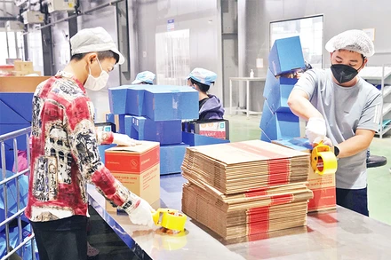 Công nhân làm việc tại nhà máy của Công ty TNHH Deli Việt Nam, huyện Yên Phong, tỉnh Bắc Ninh. (Ảnh ĐĂNG ANH)