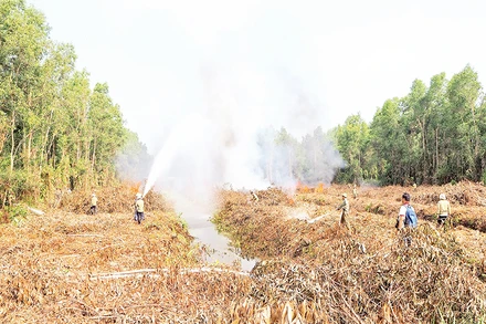 Diễn tập phòng cháy, chữa cháy rừng tại Công ty TNHH MTV Lâm nghiệp U Minh hạ vào đầu tháng 3/2024.
