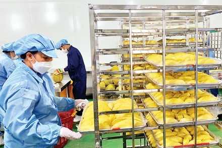 Một cơ sở chế biến sầu riêng ở Đồng Nai.