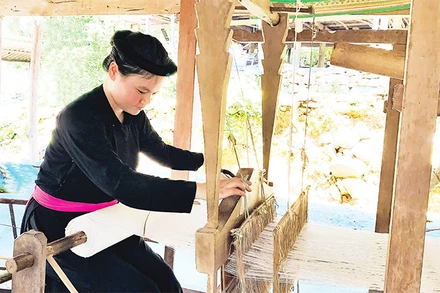 Thiếu nữ Tày (Na Hang, Tuyên Quang) bên khung cửi.