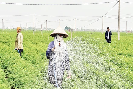 Nông dân xã Đức Chính áp dụng tưới nước công nghệ cao góp phần tăng năng suất lao động.