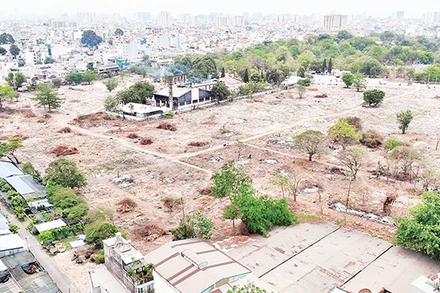 Công tác bốc mộ tập trung giai đoạn 1 Dự án di dời nghĩa trang Bình Hưng Hòa (quận Bình Tân) đã hoàn tất. (Ảnh THẾ ANH) 