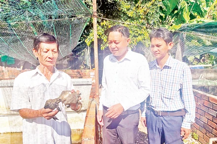 Nông dân Hồ Thanh Hải (ngoài cùng bên trái) chia sẻ kinh nghiệm, hiệu quả nuôi ếch với đại diện Hội Nông dân xã Quy Đức và cán bộ kỹ thuật.