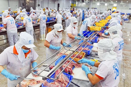 Chế biến cá tra xuất khẩu tại Công ty TNHH Hùng Cá.