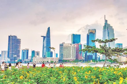 Cánh đồng hoa hướng dương nở rực rỡ bên sông Sài Gòn dịp Tết Giáp Thìn. (Ảnh: HỮU LONG) 