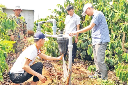 Cán bộ thuộc Dự án SACCR tại tỉnh Đắk Nông hướng dẫn người dân lắp đặt và sử dụng hệ thống tưới nước tiết kiệm cho vườn cà-phê.
