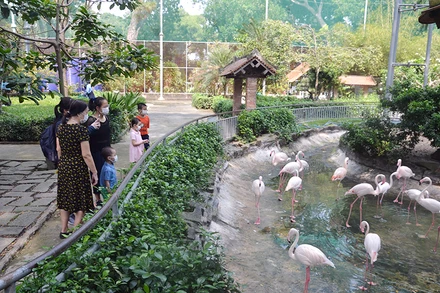 Du khách tham quan Thảo Cầm Viên Sài Gòn.