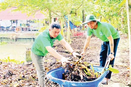 Khu vườn thí điểm của dự án "Vườn xanh cộng đồng" tại Củ Chi bắt đầu được triển khai.