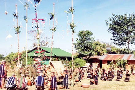 Tổ chức phục dựng, tái hiện lễ nhô dơng của người Cơ Ho Cil.