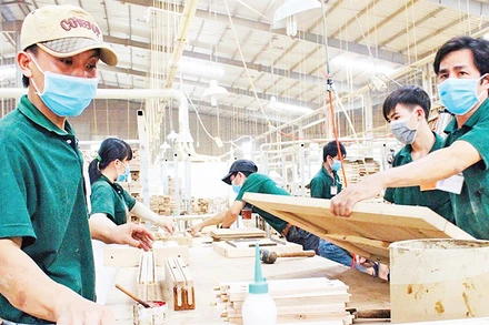 Sản xuất gỗ xuất khẩu tại Công ty cổ phần Lâm Việt, thành phố Tân Uyên, tỉnh Bình Dương.