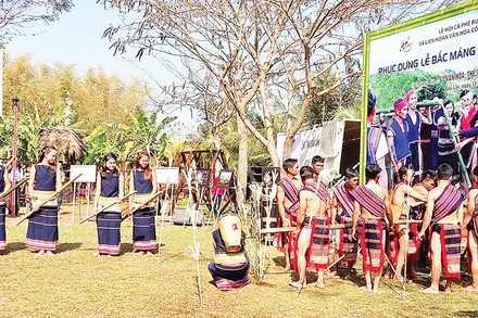 Phục dựng Lễ bắc máng nước của người Xơ Đăng ở Đắk Lắk.