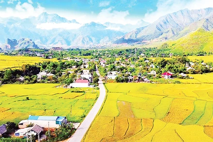 Mùa vàng trên cánh đồng Mường Than (Than Uyên) thu hút đông du khách yêu thiên nhiên.