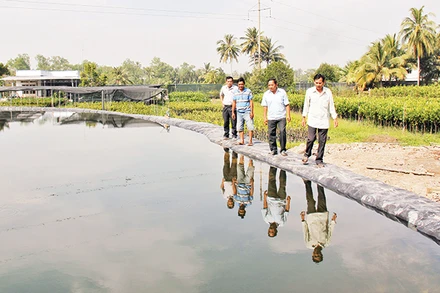Gia đình ông Nguyễn Văn Hùng đầu tư hơn 160 triệu đồng để đào ao trữ nước ngọt.