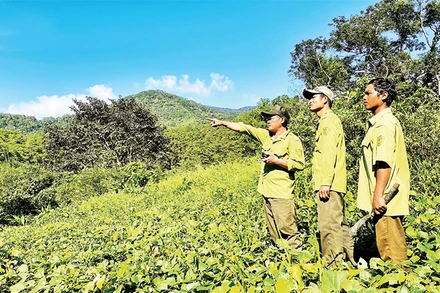 "Khi bị thương, tôi chỉ lo cho anh em..."