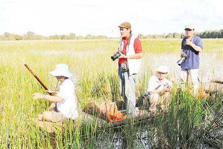 Du lịch sinh thái khu vực Vườn Quốc gia Tràm Chim hấp dẫn du khách.