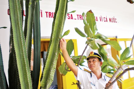 Chiến sĩ trẻ chăm sóc hoa xương rồng. 