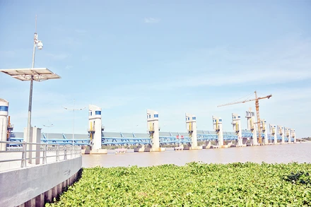 Hệ thống thủy lợi cống Cái Lớn, tỉnh Kiên Giang.