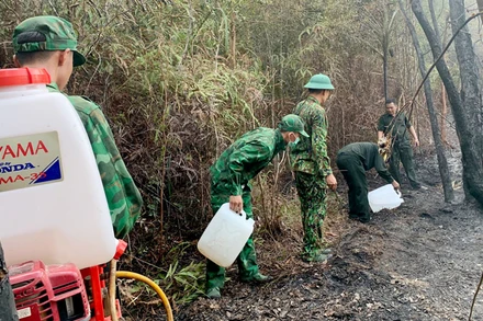 Cán bộ, chiến sĩ Đồn Biên phòng Xà Lực (Bộ đội Biên phòng Kiên Giang) ngăn đám cháy vào rừng đặc dụng Vườn quốc gia Phú Quốc. 