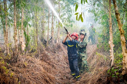 Lực lượng quân đội tham gia chữa cháy. 