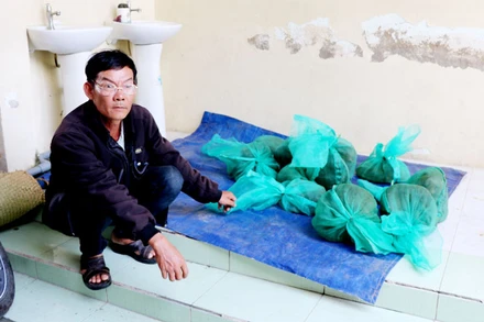 Đối tượng Nguyễn Văn Đề cùng 10 con khỉ đuôi dài, tổng trọng khoảng 20kg. 