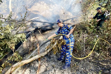 Các lực lượng tích cực dập lửa.