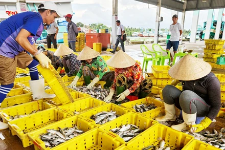 Tốc độ tăng trưởng kinh tế tỉnh Kiên Giang bình quân giai đoạn 2021-2023 ước đạt 5,29%/năm. 