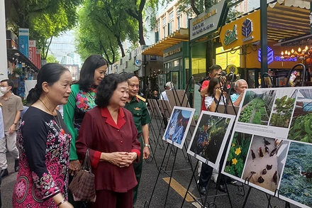 Các đại biểu tham quan triển lãm.