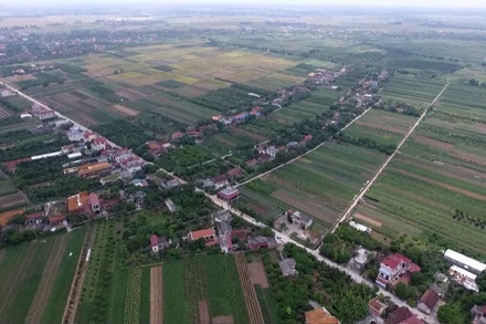 [Video] Thành lập Ban Chỉ đạo thực hiện sắp xếp đơn vị hành chính các cấp