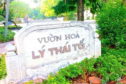 [Video] Hà Nội không chặt hạ cây cổ thụ tại vườn hoa Lý Thái Tổ
