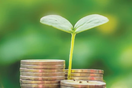 [Video] Gỡ nút thắt phân loại xanh để thúc đẩy tín dụng bền vững