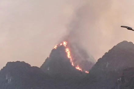 [Video] Khống chế hoàn toàn vụ cháy rừng tại Ba Sao, thị xã Kim Bảng, tỉnh Hà Nam