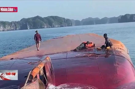 Tìm kiếm thuyền viên mất tích do chìm tàu trên biển Cát Bà