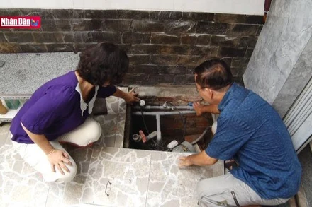 Thành phố Hồ Chí Minh tìm giải pháp chống sụt lún