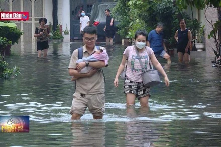 Lênh đênh giữa lòng thủ đô