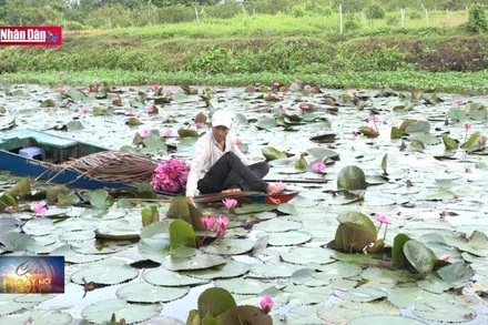 Niềm vui mùa nước nổi