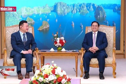 Thủ tướng tiếp Tổng Giám đốc Tập đoàn Samsung điện tử