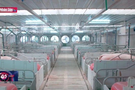 Sản xuất giống phục vụ cơ cấu lại ngành nông nghiệp giai đoạn 2021-2030