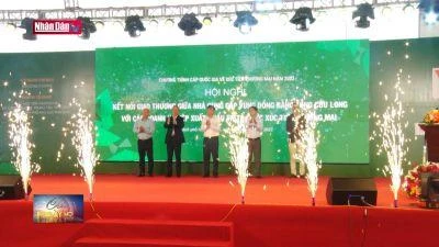 Kết nối giao thương giữa nhà cung cấp với doanh nghiệp xuất khẩu